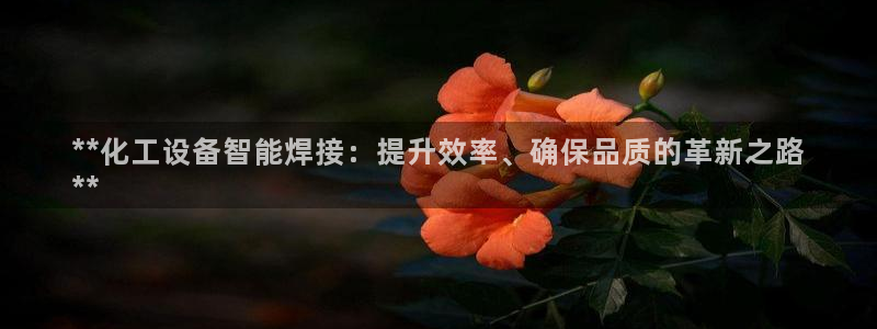 门徒平台马 411O31 门徒