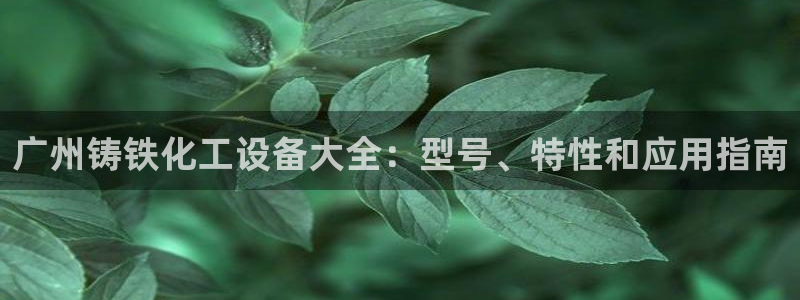 门徒平台马 411O31 门徒