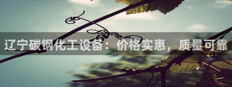 门徒平台注册中心
