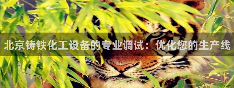 门徒娱乐项目