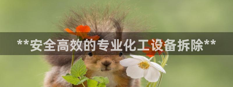 门徒娱乐平台登录官网