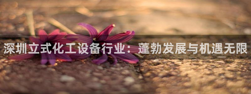 门徒娱乐平台代理公司