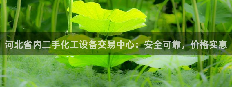门徒娱乐平台登录不了
