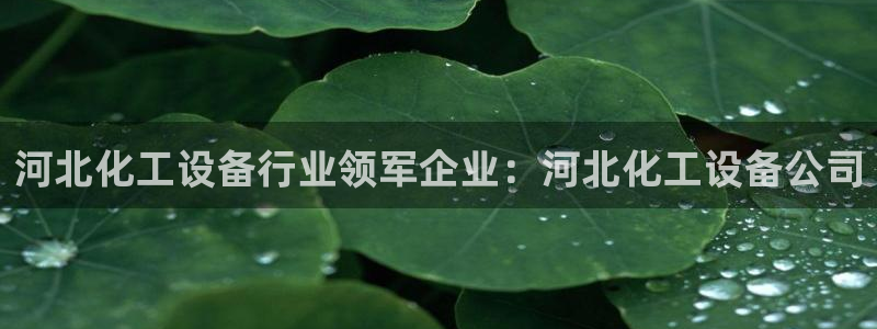 门徒娱乐黑钱