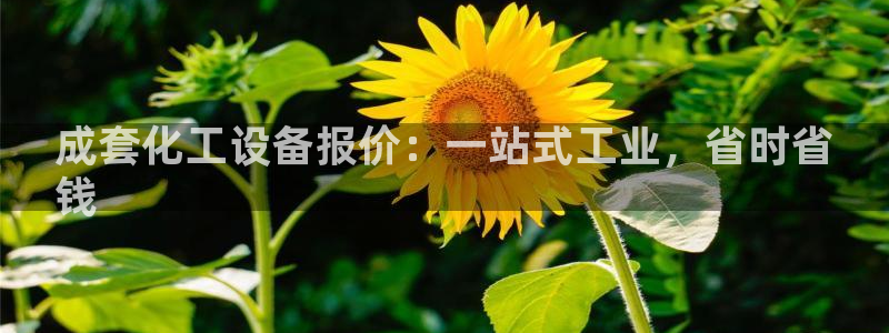 门徒娱乐项目介绍