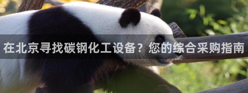门徒平台注册中心在哪