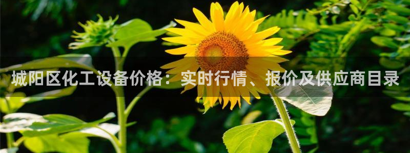 门徒娱乐下载手机版