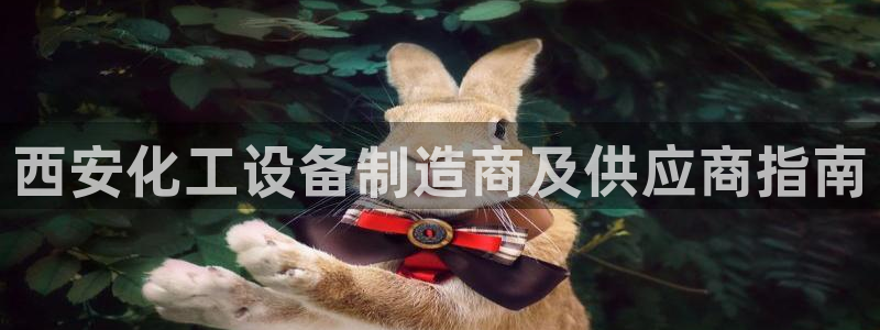 门徒平台服务站