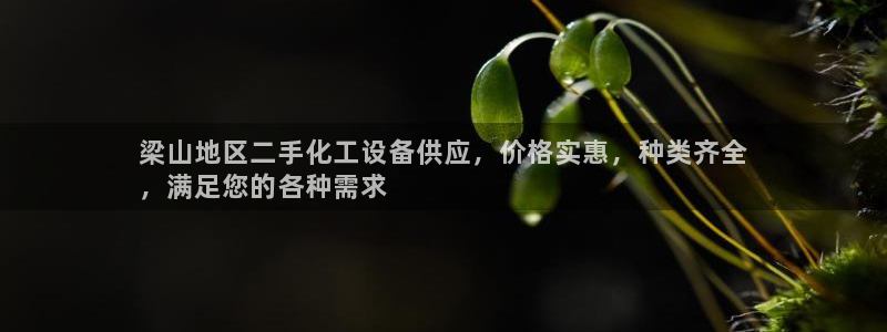 门徒娱乐是什么意思啊