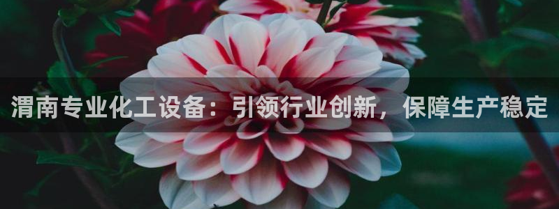 门徒平台注册登陆不上怎么办