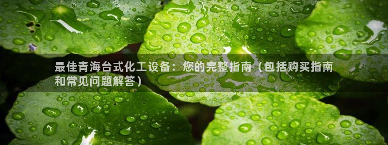 门徒娱乐企业简介