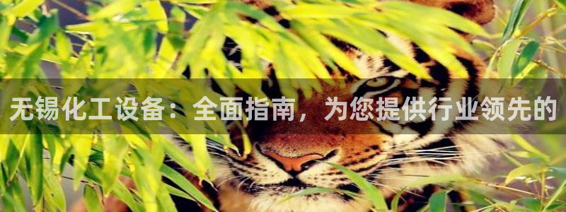 门徒娱乐登录中心