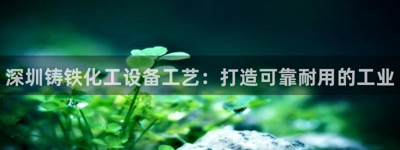 门徒平台注册登陆失败