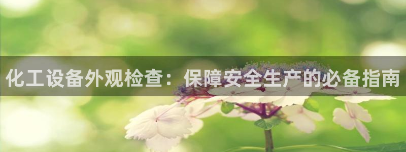 门徒娱乐的创始人背景