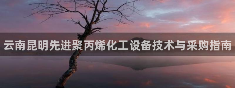 门徒平台途 411031 门徒
