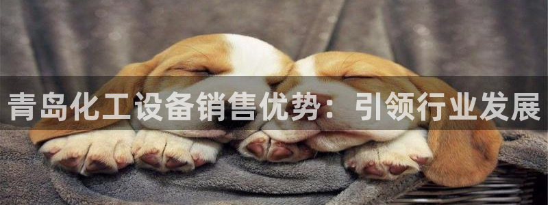 门徒娱乐下载手机版安装