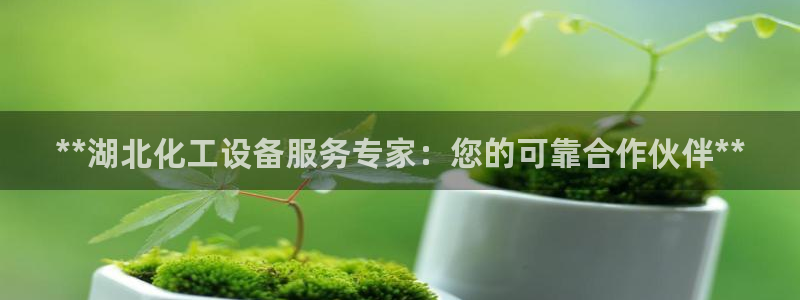 门徒平台二7O777