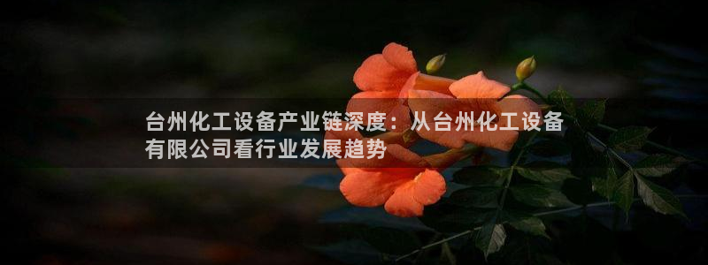 门徒平台指定入口