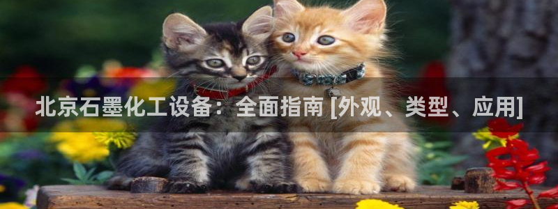 门徒平台注册中心在哪