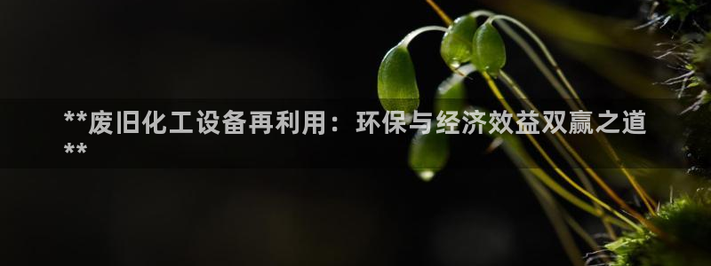 门徒娱乐成功案例分析