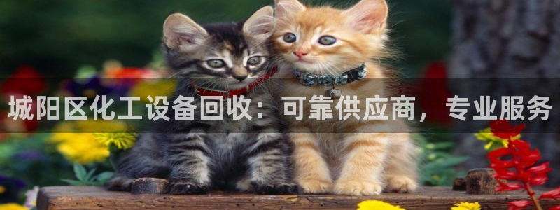 门徒娱乐是不是赌博行为