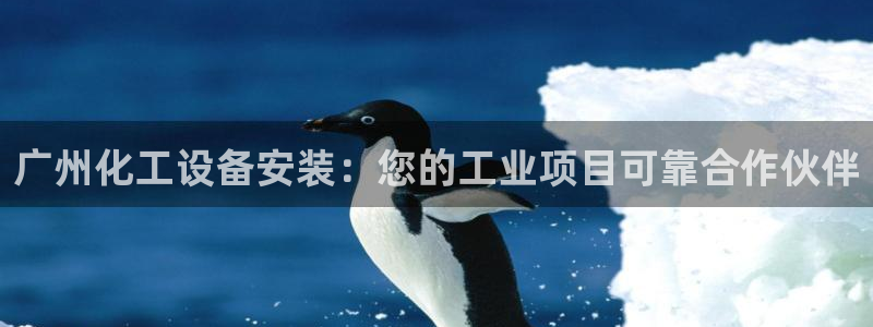 门徒在哪个平台