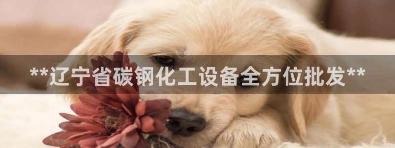 门徒平台开户流程是什么