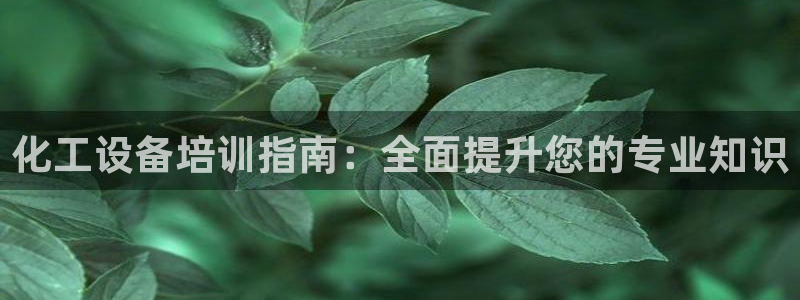 门徒平台注册登陆不上怎么回事