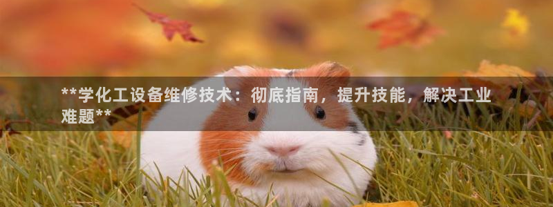 门徒平台