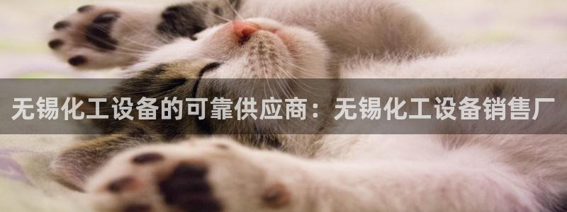 门徒娱乐app代理加盟多少钱