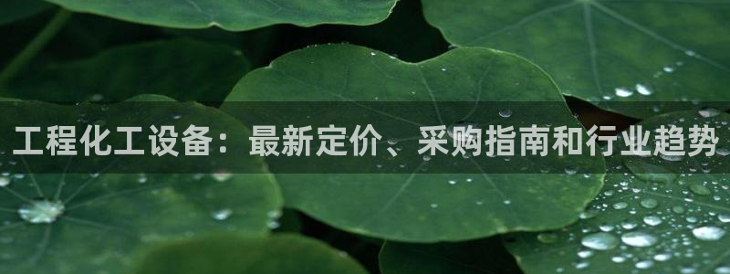 门徒平台注册中心官网查询