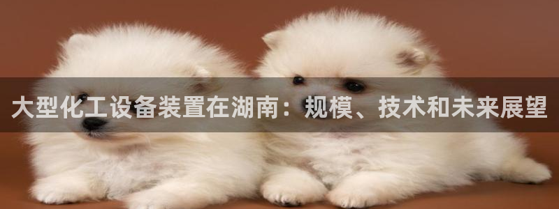 门徒娱乐的创始人背景
