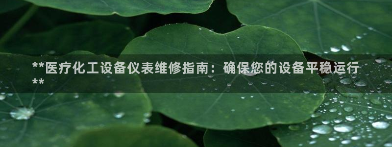 门徒娱乐是做什么的