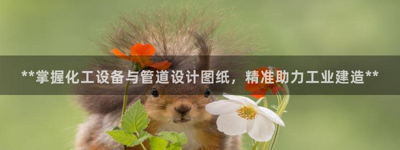 门徒平台下载