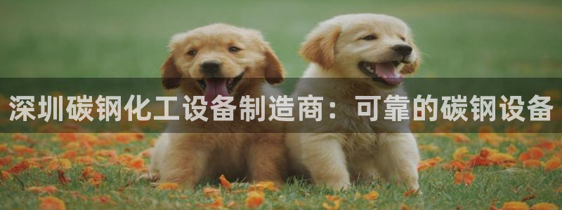 门徒娱乐平台登录地址