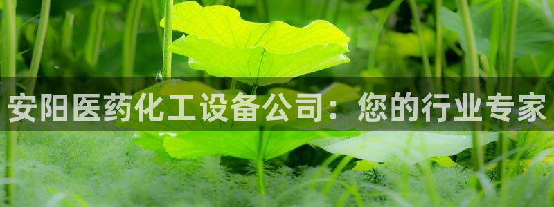 门徒平台和盛煌平台区别