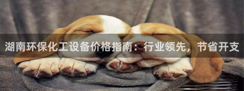 门徒娱乐充值安全吗是真的吗