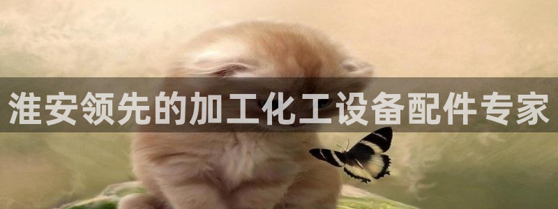 门徒娱乐平台登录官网