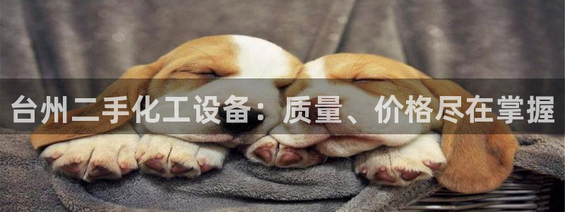 门徒娱乐注册登录地址在哪