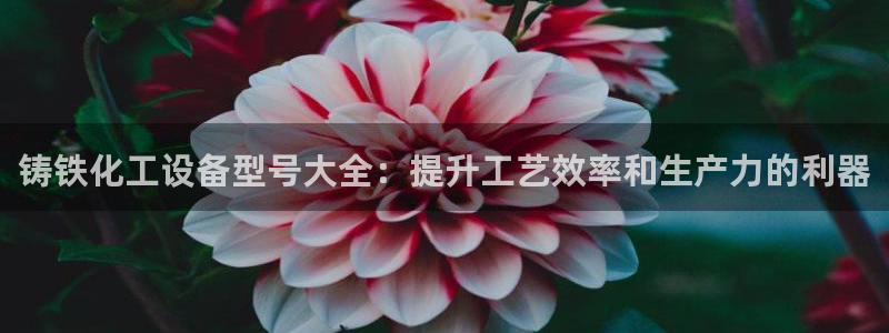 门徒娱乐财神联盟
