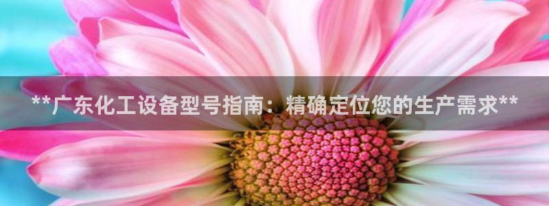 门徒娱乐是干嘛