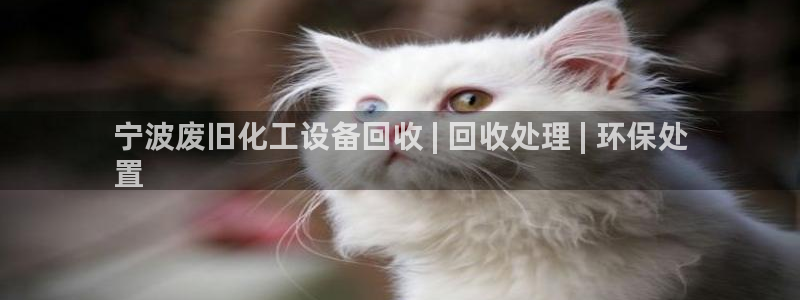 门徒平台代理怎么做