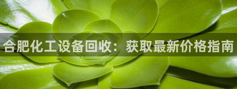 门徒平台官方网站