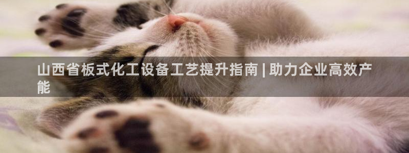 门徒平台商 5O6917 平台