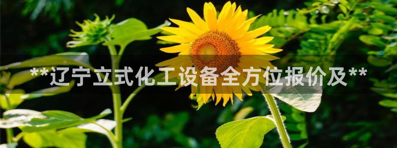 门徒娱乐平台代理怎么做到的呢