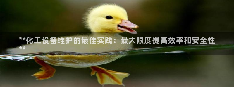 门徒娱乐成功案例分享