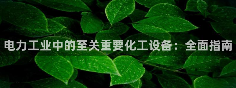 门徒平台推荐 585341