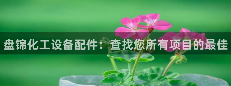 门徒娱乐平台登录1990官网