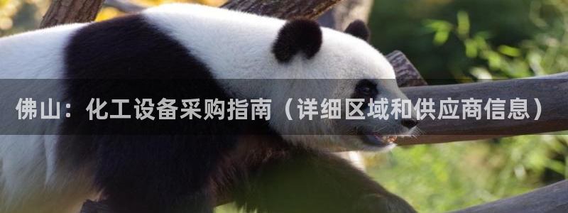 门徒平台登录注册流程