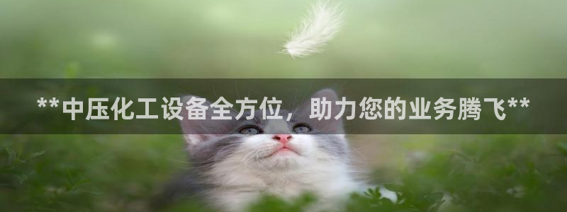 门徒娱乐企业简介